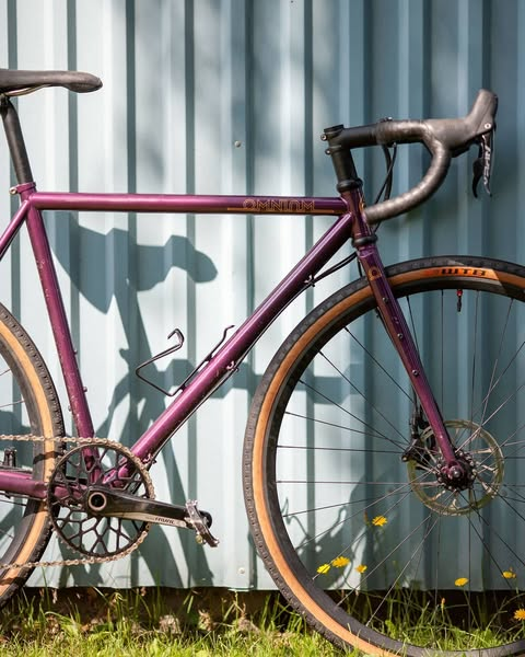 Omnium CXC V3 Apex
