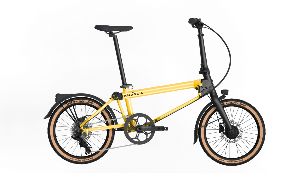 Ahooga E-Max dérailleur