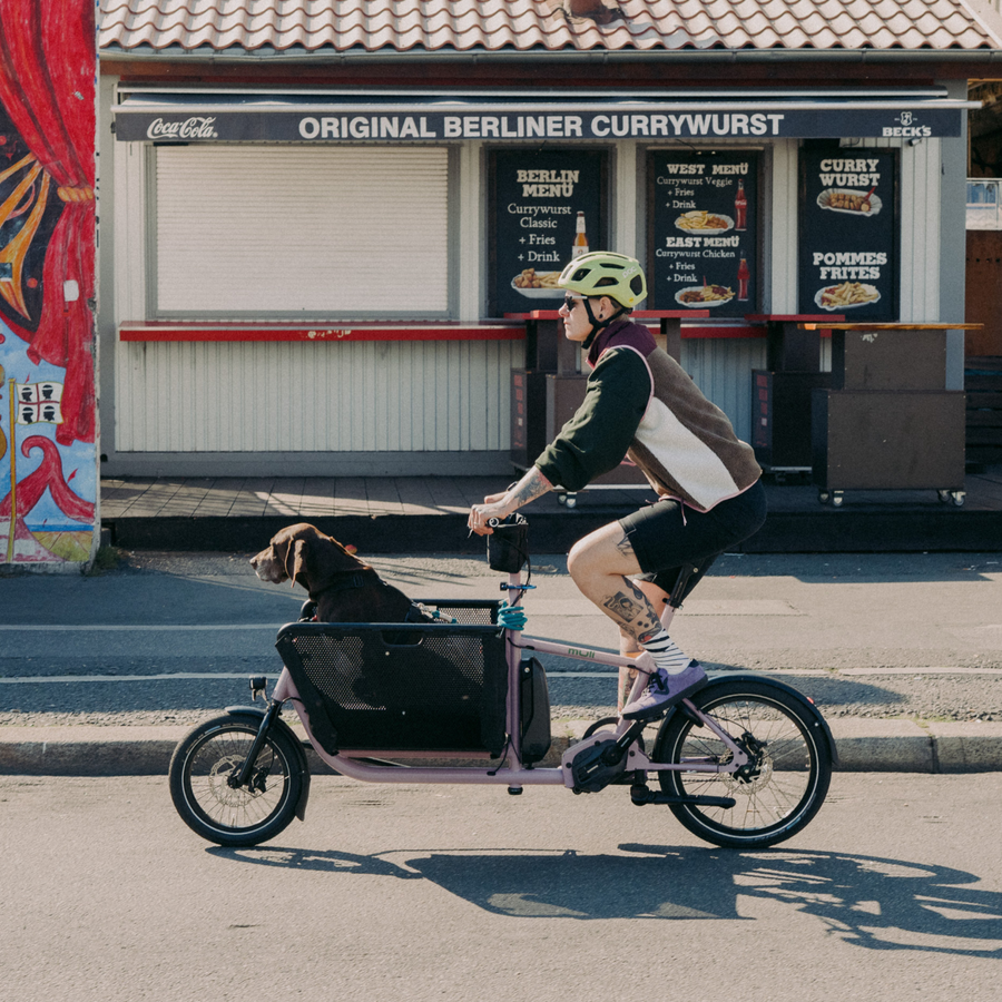 muli st pro