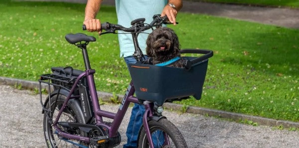 Panier pour chien Basil Buddy