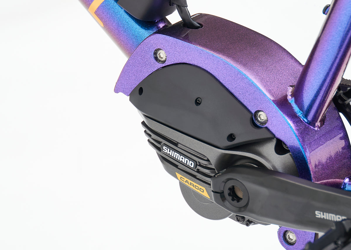 Omnium E-Mini-Max V3