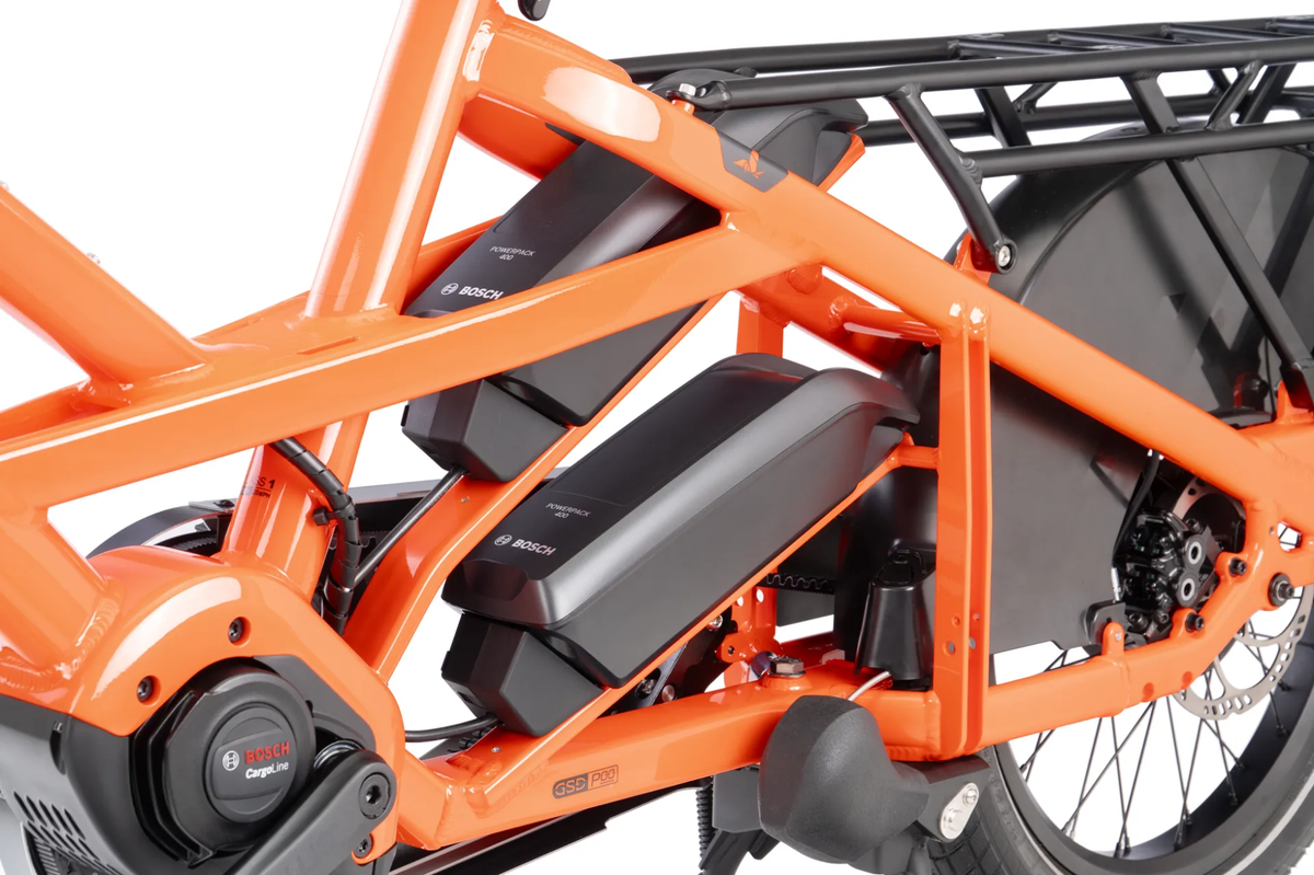 Tern GSD P00