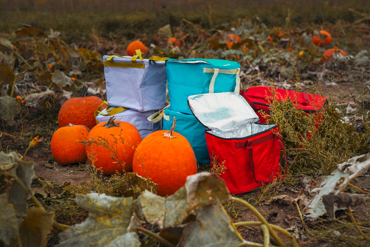 Sac isotherme pour panier avant Atoll