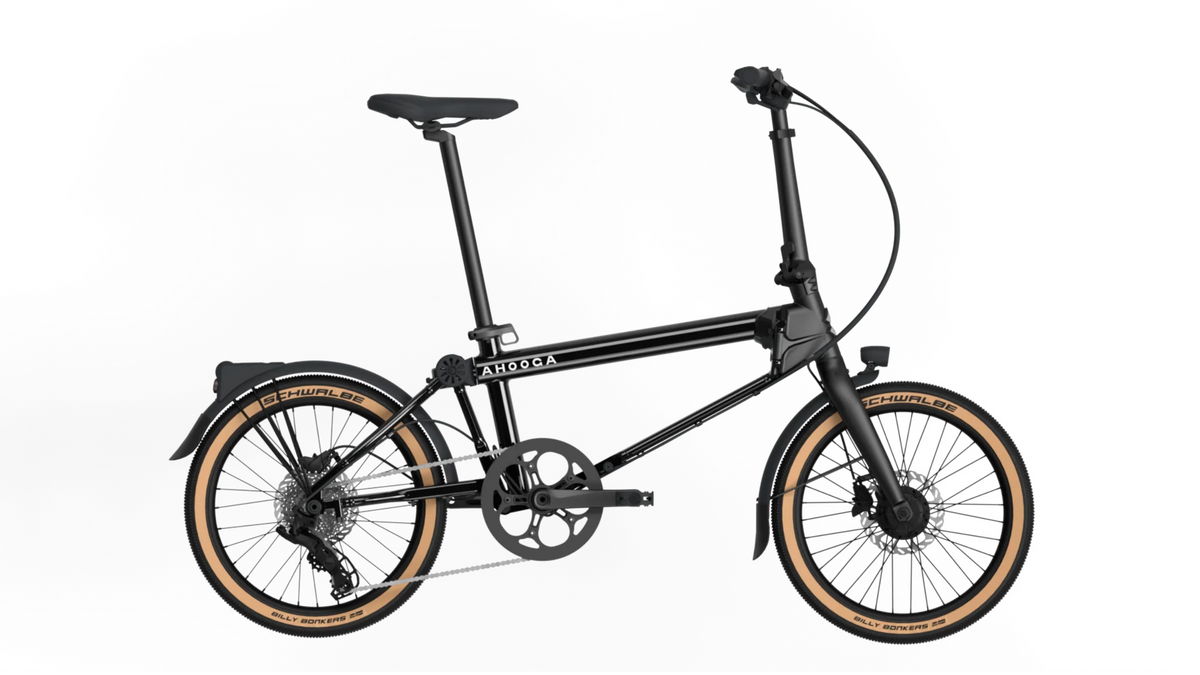 Ahooga E-Max dérailleur