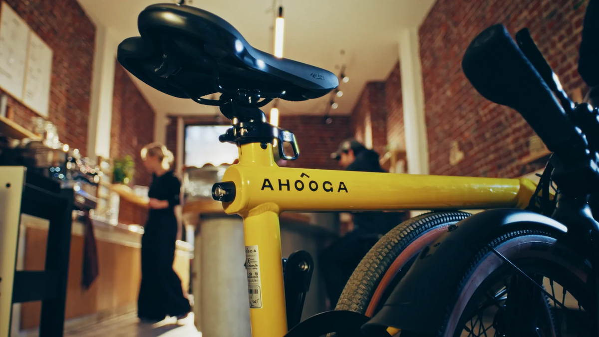 Ahooga E-Max dérailleur