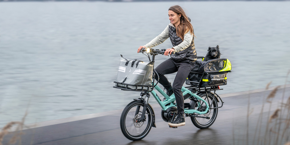 Tern HSD P5i